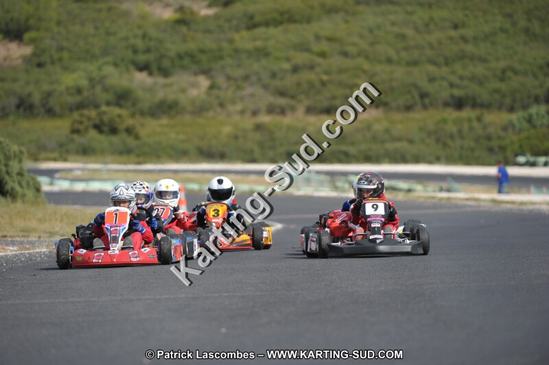 DSC (3746).JPG